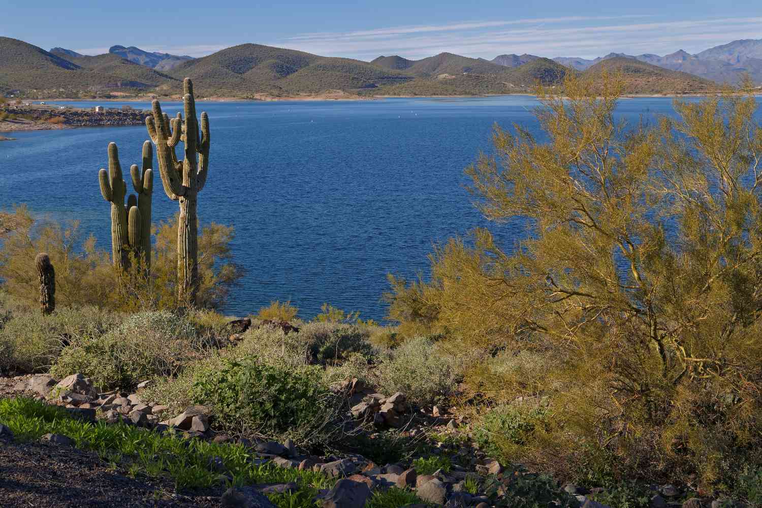 Lake Pleasant