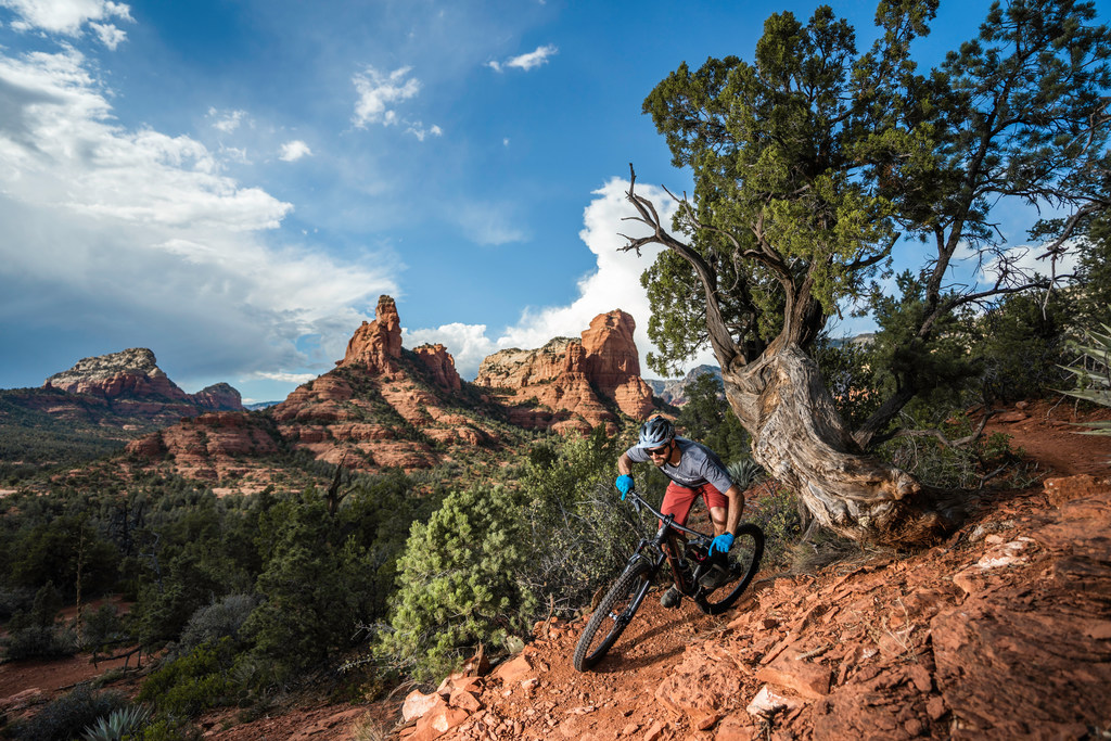 REI Experiences Arizona