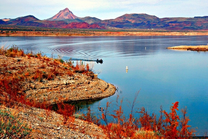 Alamo Lake State Park