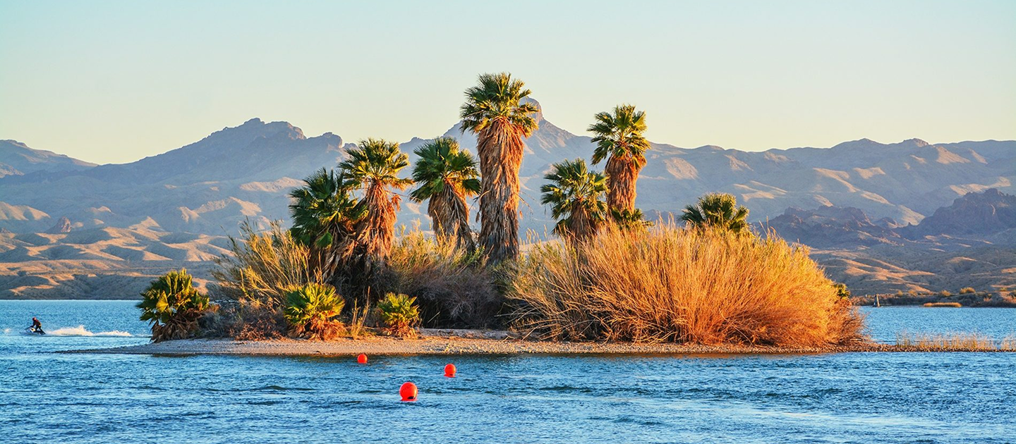 Lake Havasu State Park