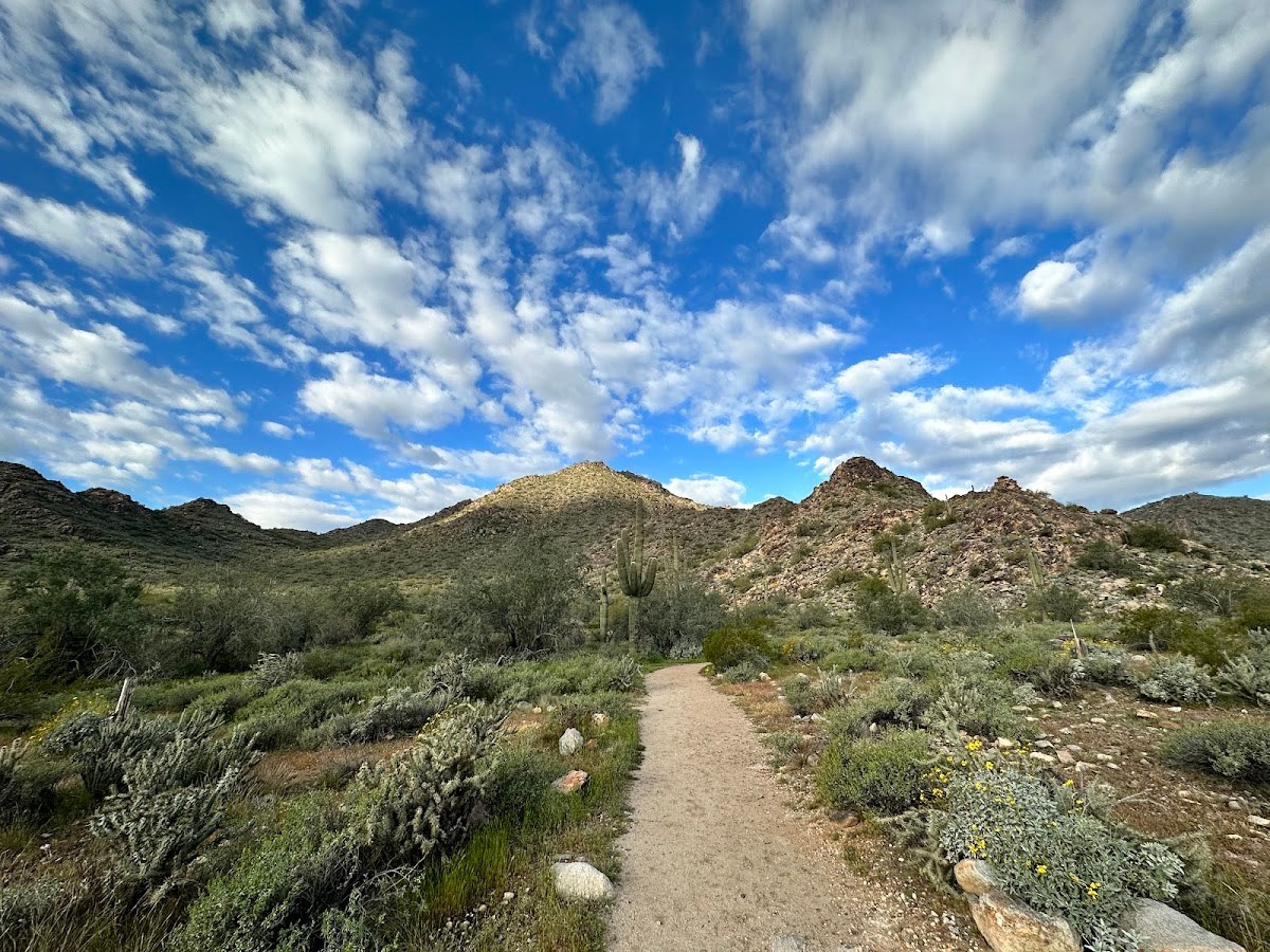 White Tank Mountain Public Court