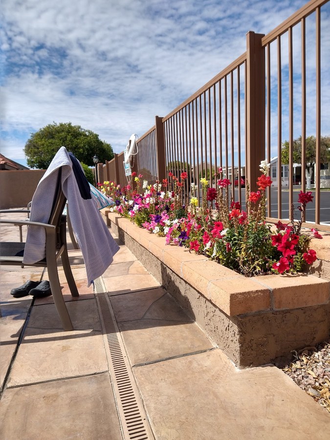 Orangewood Shadows Rv Resort