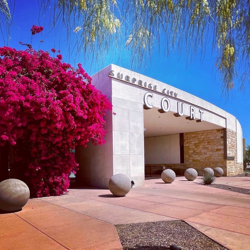 Surprise public courts