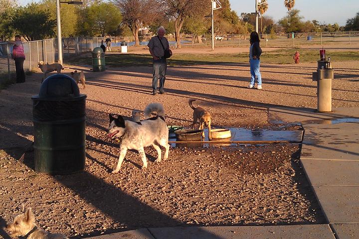 Palo Verde Park Dog Park