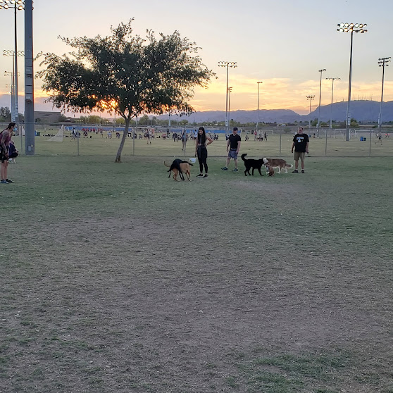 Pecos Park Dog Park