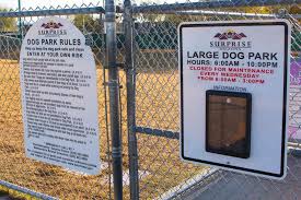 Surprise Dog Park