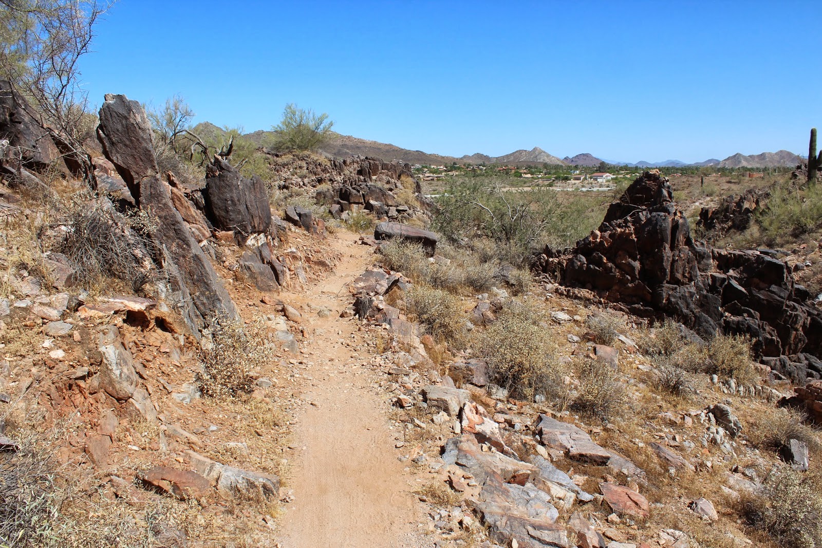 Dreamy Draw Recreation Area