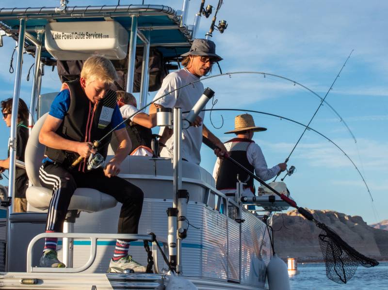 Striper Fishing Lake Powell