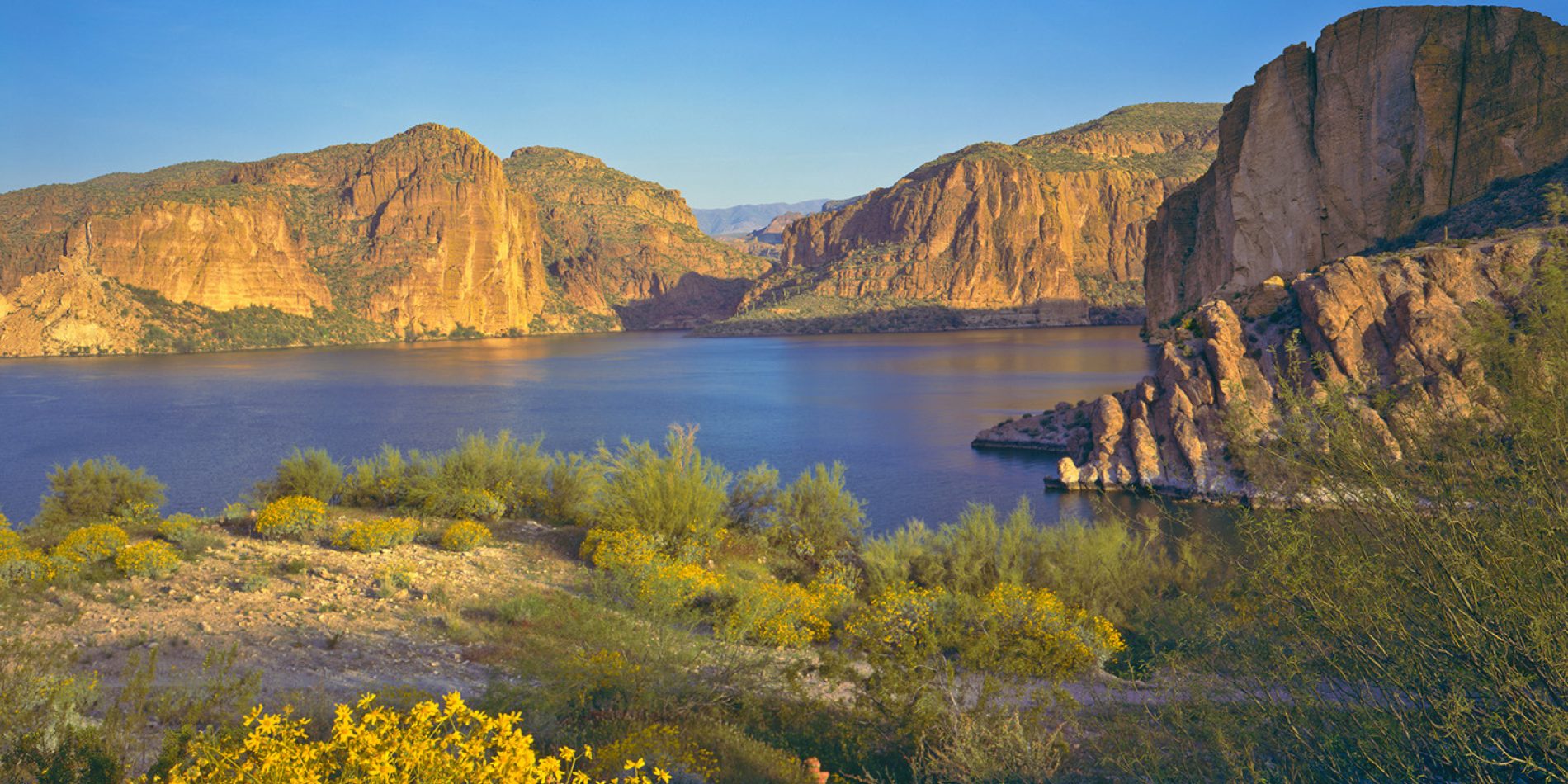 Saguaro Lake