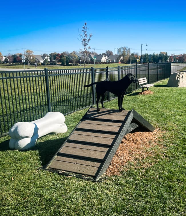 Estrella Mountain Dog Park