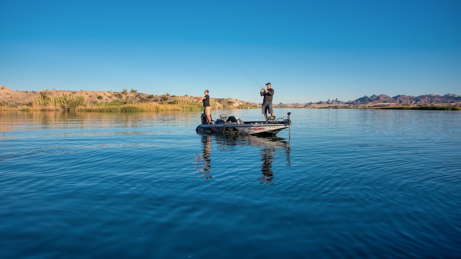 Lake Havasu Fishing Guides