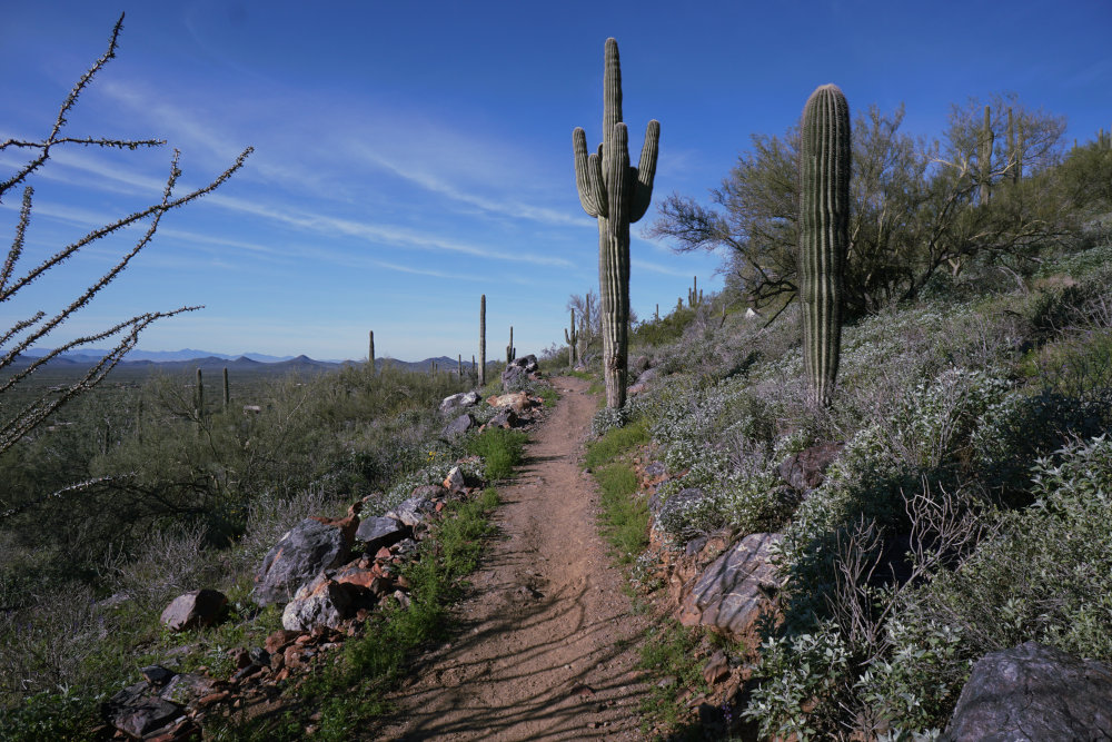 Cave Creek Regional Park