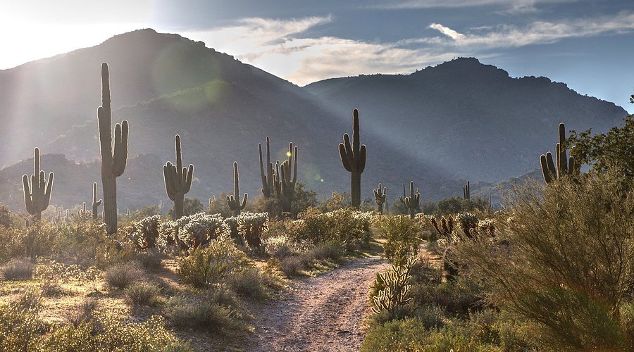 White Tank Mountain Regional Park