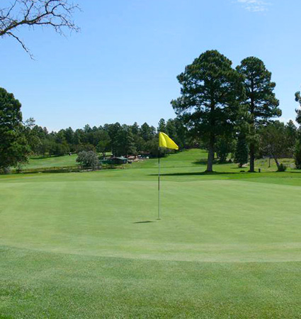 Bison Golf Club