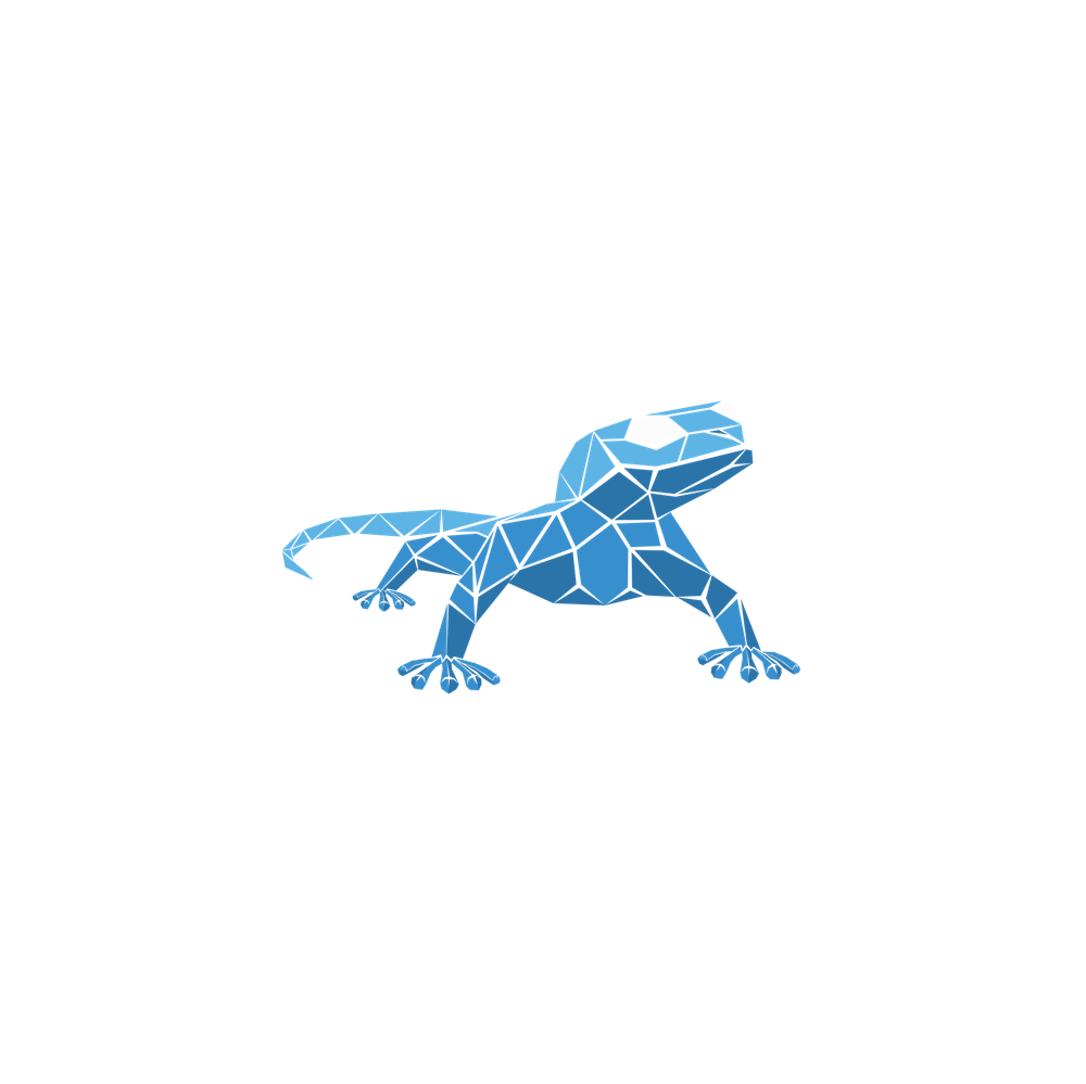 Gecko Climbing Gym