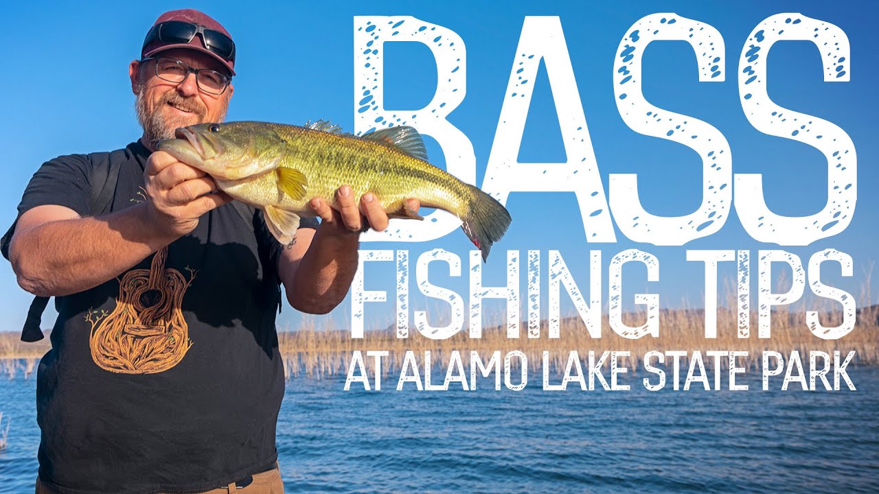 Alamo Lake Fishing Charters