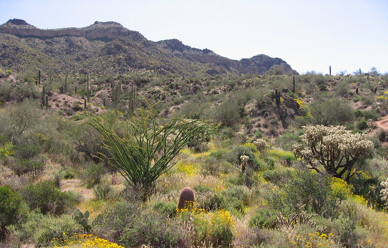 Usery Mountain Regional Park