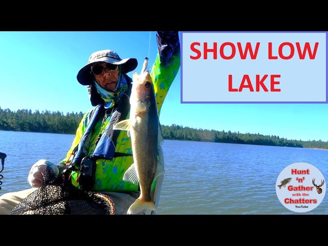 Show Low Lake Fishing Guides