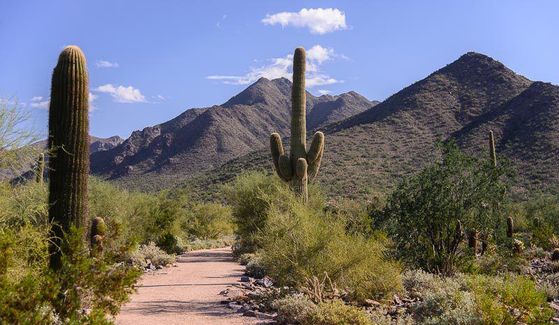 McDowell Sonoran Preserve